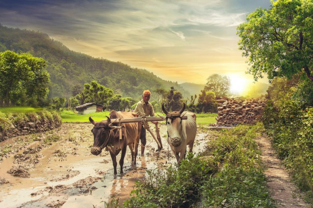 Benefits Of Farmer Producer Company Definition Benefits