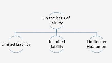 Different types of companies in India - on the basis of liability